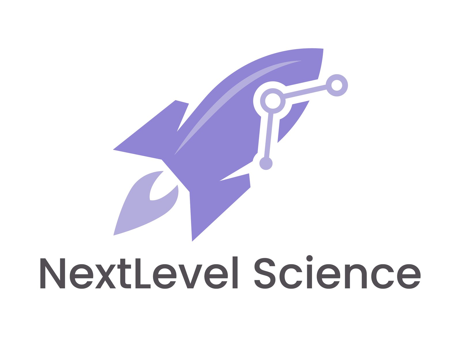 nls logo2